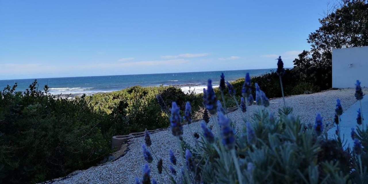 Beach Villa Apartment Hermanus Esterno foto